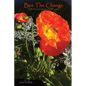 Bee The Change: If We Protect, Nature Will Provide - Paperback