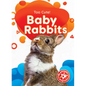 Baby Rabbits - Library Binding