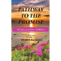 Pathway to the Promise: A Journey of God's Faithfulness - Paperback