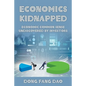 Economics Kidnapped: Economic Common Sense Undiscovered by Investors - Paperback