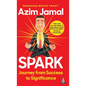 Spark: Journey from Success to Significance - Hardcover
