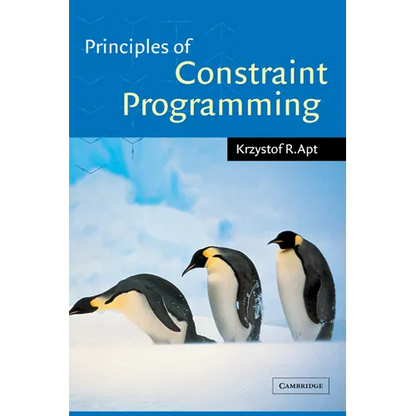 Principles of Constraint Programming - Hardcover