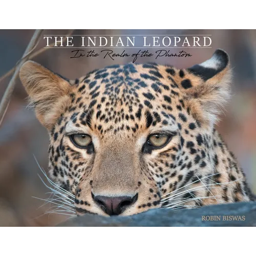 The Indian Leopard: In the Realm of the Phantom - Paperback