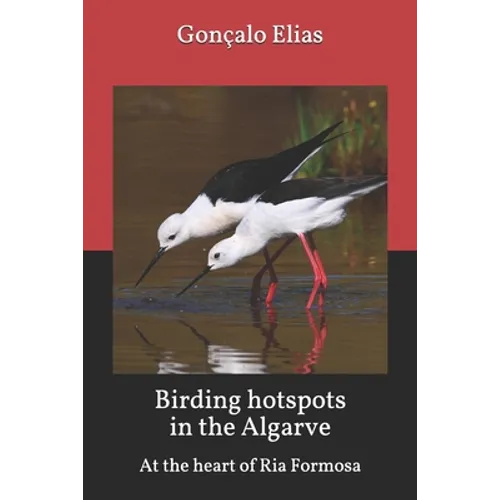 Birding hotspots in the Algarve: At the heart of Ria Formosa - Paperback