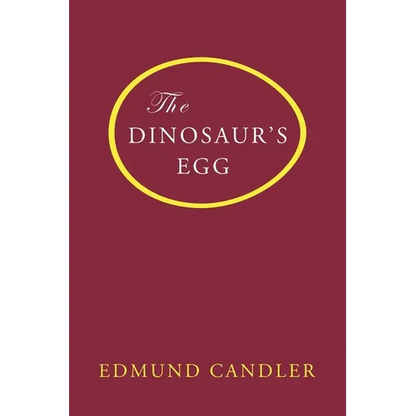 The Dinosaur's Egg - Paperback