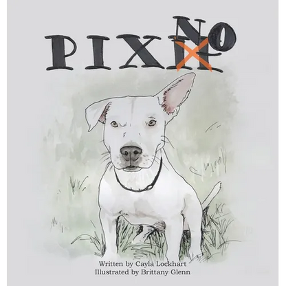 Pixno! - Hardcover
