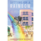 Sitting on a Rainbow - Hardcover