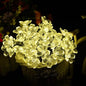 50 LED Fairy Flower Blossom Solar String Lights