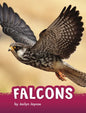 Falcons - Hardcover