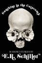 Sunshine in the Catacomb: 38 Short Stories by E.R. Schiller - Paperback