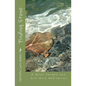 Finding Stone: A Quiet Parable and Soul-Work Meditation - Paperback