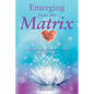 Emerging From the Matrix: Healing Human Trauma and Ending Global Enslavement - Paperback
