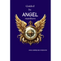 Guided By Angel Numbers: Angel Numbers are Coordinates - Paperback