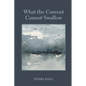 What the Current Cannot Swallow - Paperback
