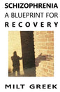Schizophrenia: A Blueprint for Recovery - Paperback