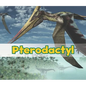 Pterodactyl - Paperback
