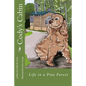 Cody's Cabin: Life in a Pine Forest - Paperback