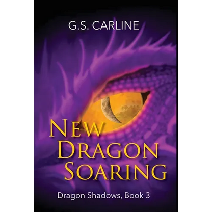 New Dragon Soaring: Dragon Shadows Book 3 - Hardcover