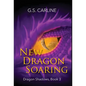New Dragon Soaring: Dragon Shadows Book 3 - Hardcover