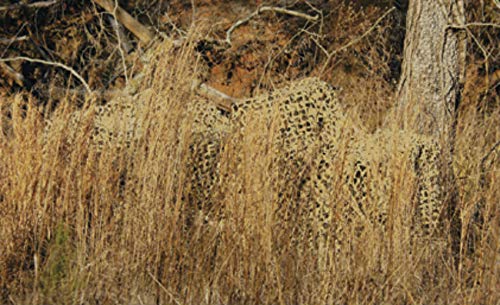 CamoSystems Premium Series Ultra-lite Camouflage Netting