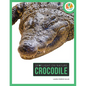 Crocodile - Hardcover