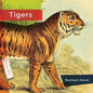 Tigers - Library Binding