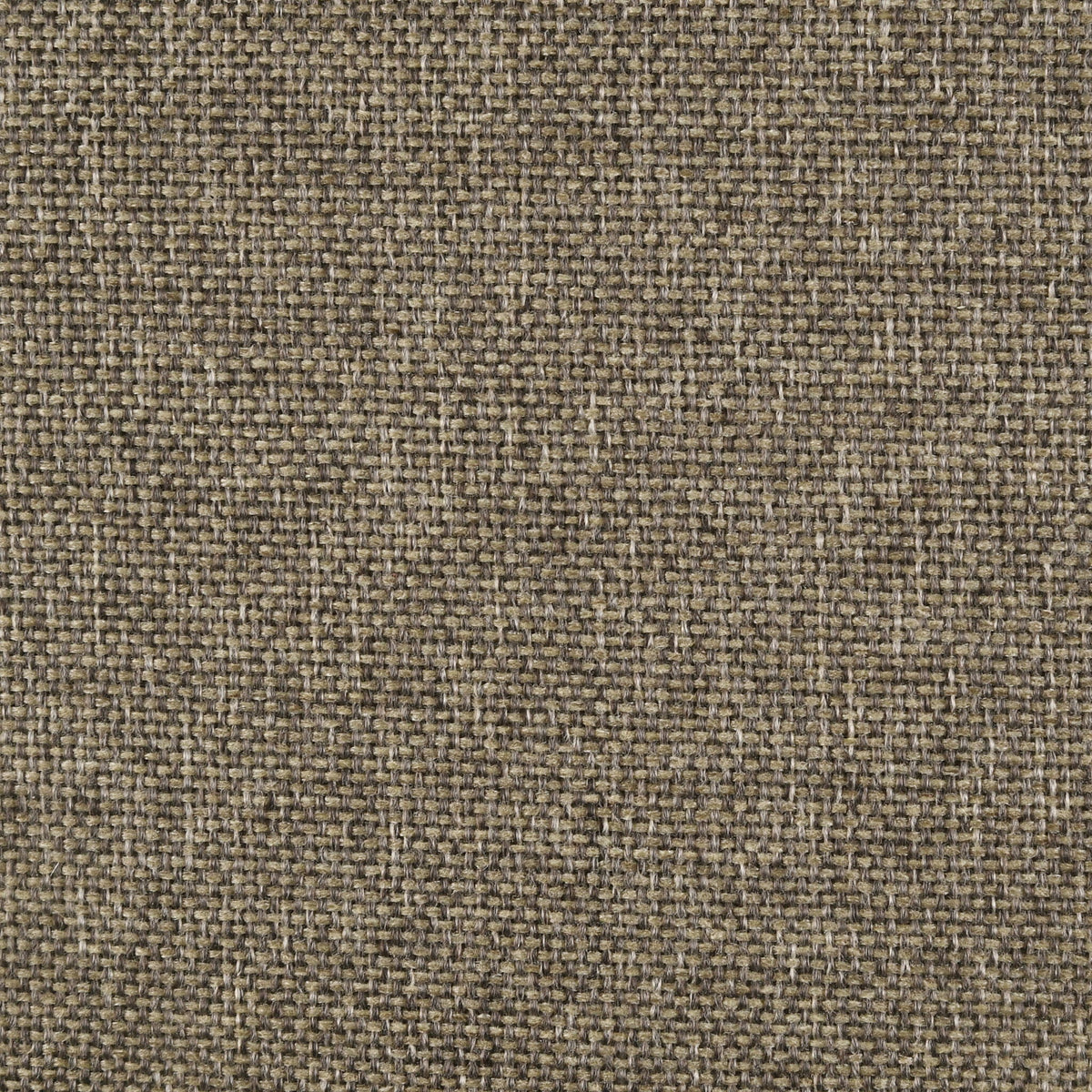 Wilkes 51-inch Upholstered Twin Bed Dark Cocoa