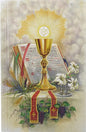 First Mass Book: An Easy Way of Participating at Mass for Boys and Girls - Hardcover