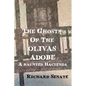 The Ghosts of the Olivas Adobe: a haunted hacienda - Paperback
