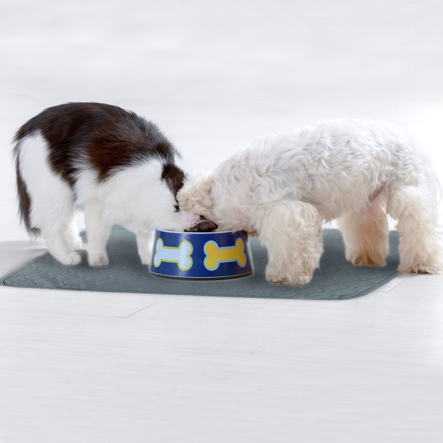 GBruno Washable Dog Pee Pad