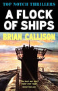 A Flock of Ships - Paperback