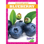 Blueberry - Library Binding
