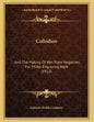 Collodion: And The Making Of Wet Plate Negatives For Photo-Engraving Work (1922) - Paperback