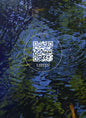 Wetland Project: Explorations in Sound, Ecology and Post-Geographical Art - Hardcover