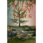 Welsh Fairy Tales - Paperback