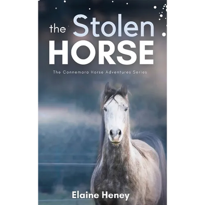 The Stolen Horse - Book 4 in the Connemara Horse Adventure Series for Kids The Perfect Gift for Children - Hardcover