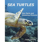 Sea Turtles: : Fun Facts and Amazing Pictures - Paperback