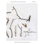 Jimmie Durham & a Stick in the Forest by the Side of the Road: Separation and Distinctions - On Turtles, Bosons and Theory - Paperback
