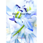 Enjoy Your Day - Paperback