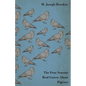 The Four Seasons Real Course about Pigeons - Paperback