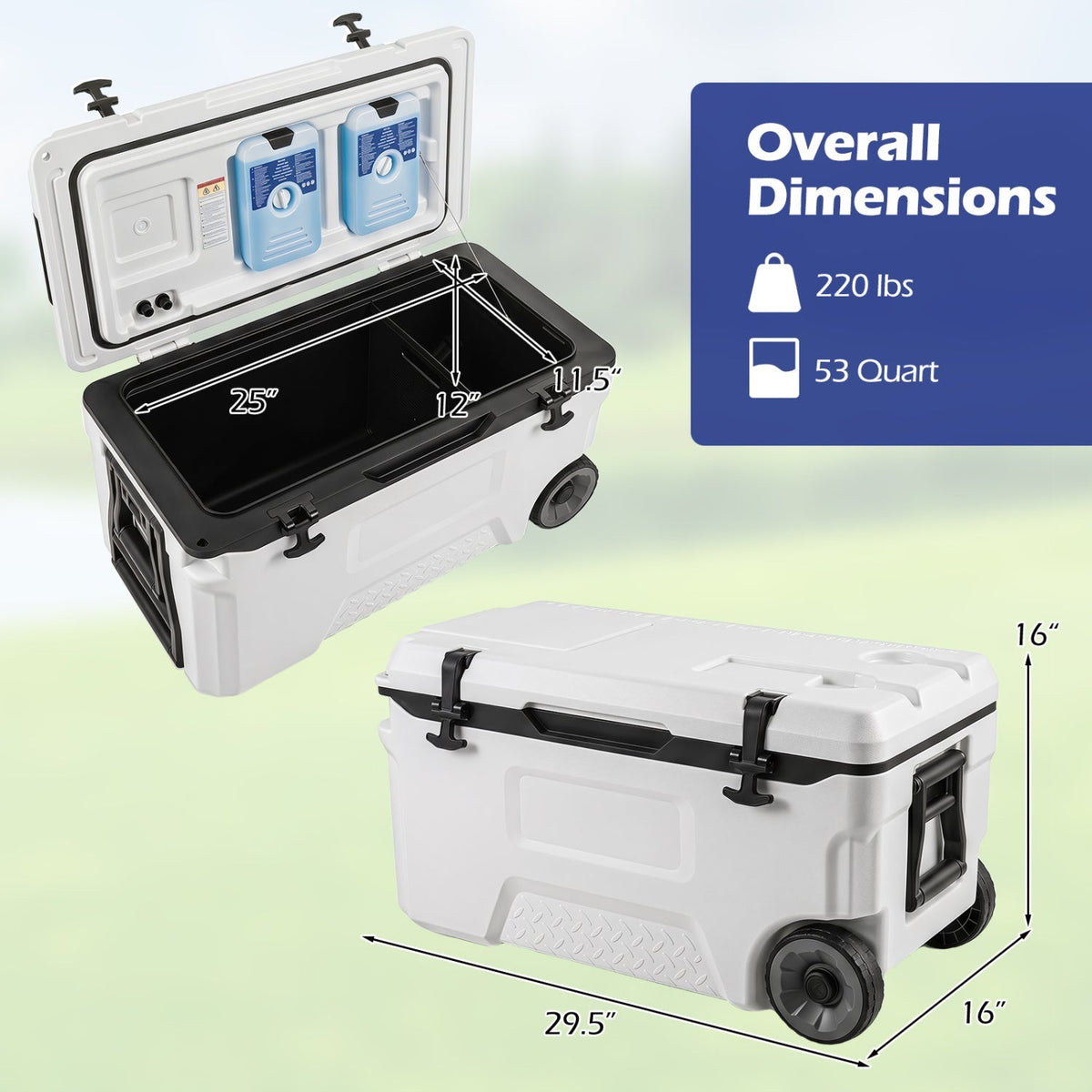 53 Quart Rolling Cooler with Wheels and Fish Ruler