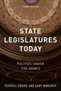 State Legislatures Today: Politics under the Domes - Paperback