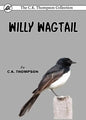 Willy Wagtail - Paperback