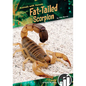Fat-Tailed Scorpion - Library Binding