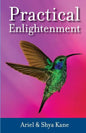 Practical Enlightenment - Paperback