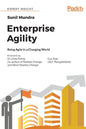 Enterprise Agility: Being Agile in a Changing World - Paperback