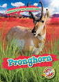 Pronghorn - Library Binding