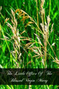 The Little Office Of The Blessed Virgin Mary - Paperback