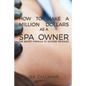 How to Make a Million Dollars as a Spa Owner: The Secret Formula to Success Revealed! - Paperback