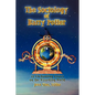 The Sociology of Harry Potter: 22 Enchanting Essays on the Wizarding World - Paperback